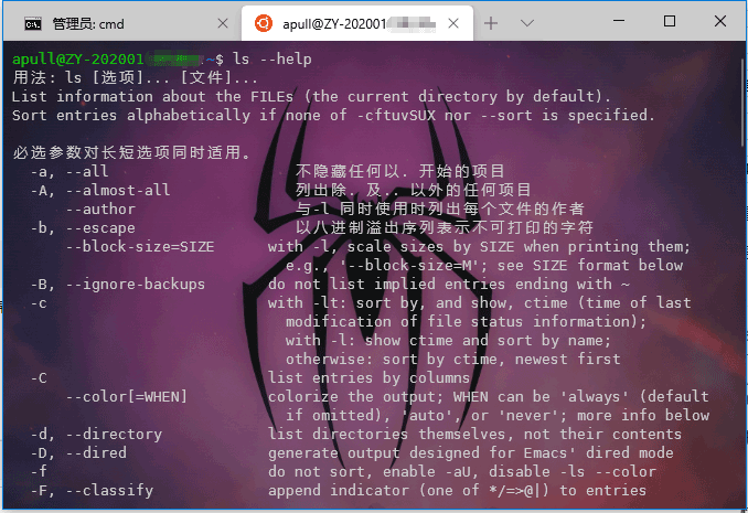 wsl下Ubuntu中文显示方法  Linux 电脑 技术 第2张
