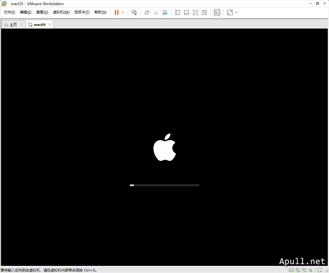 VMware虚拟机安装MacOS Big Sur 11.0.1  技术 生活 电脑 MacOS 第5张
