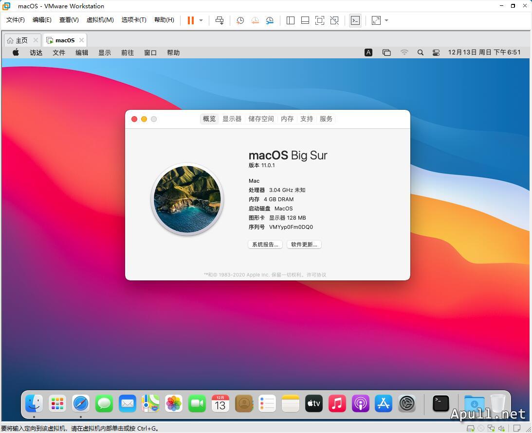 VMware虚拟机安装MacOS Big Sur 11.0.1  技术 生活 电脑 MacOS 第22张